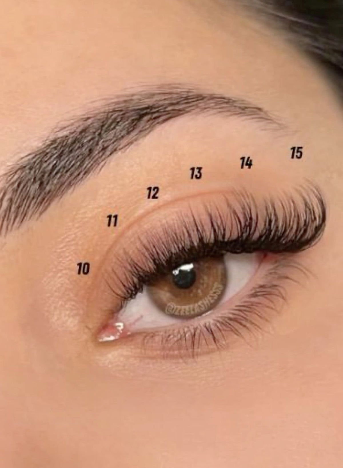 Why Two Lash Techs Can Use the Same Lash Map and Get Completely Different Results