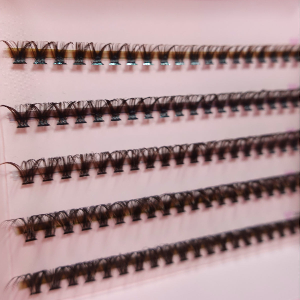 CLUSTER LASHES - TEDDY (BROWN)