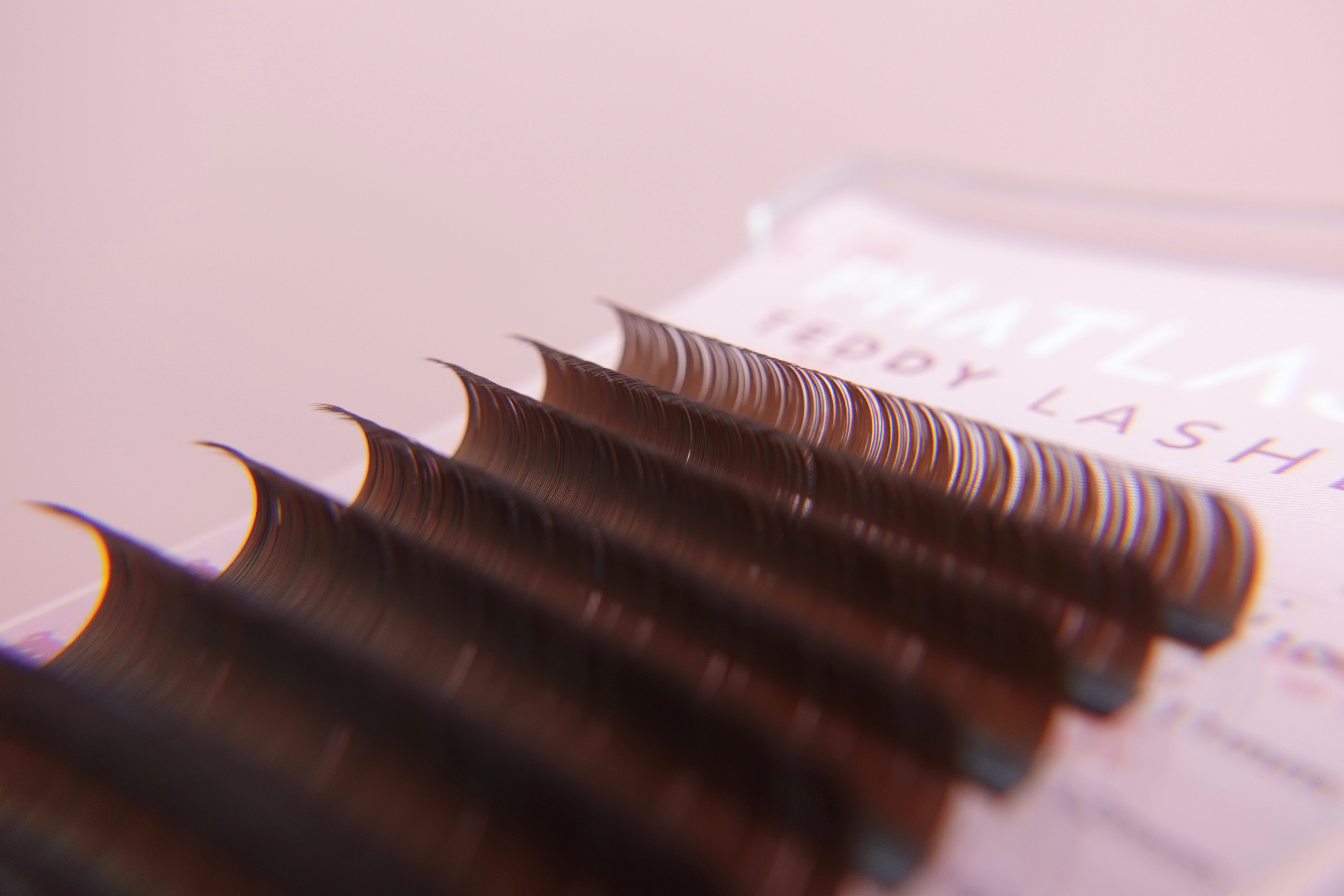 TEDDY CLASSIC BROWN LASHES - MIXED TRAYS