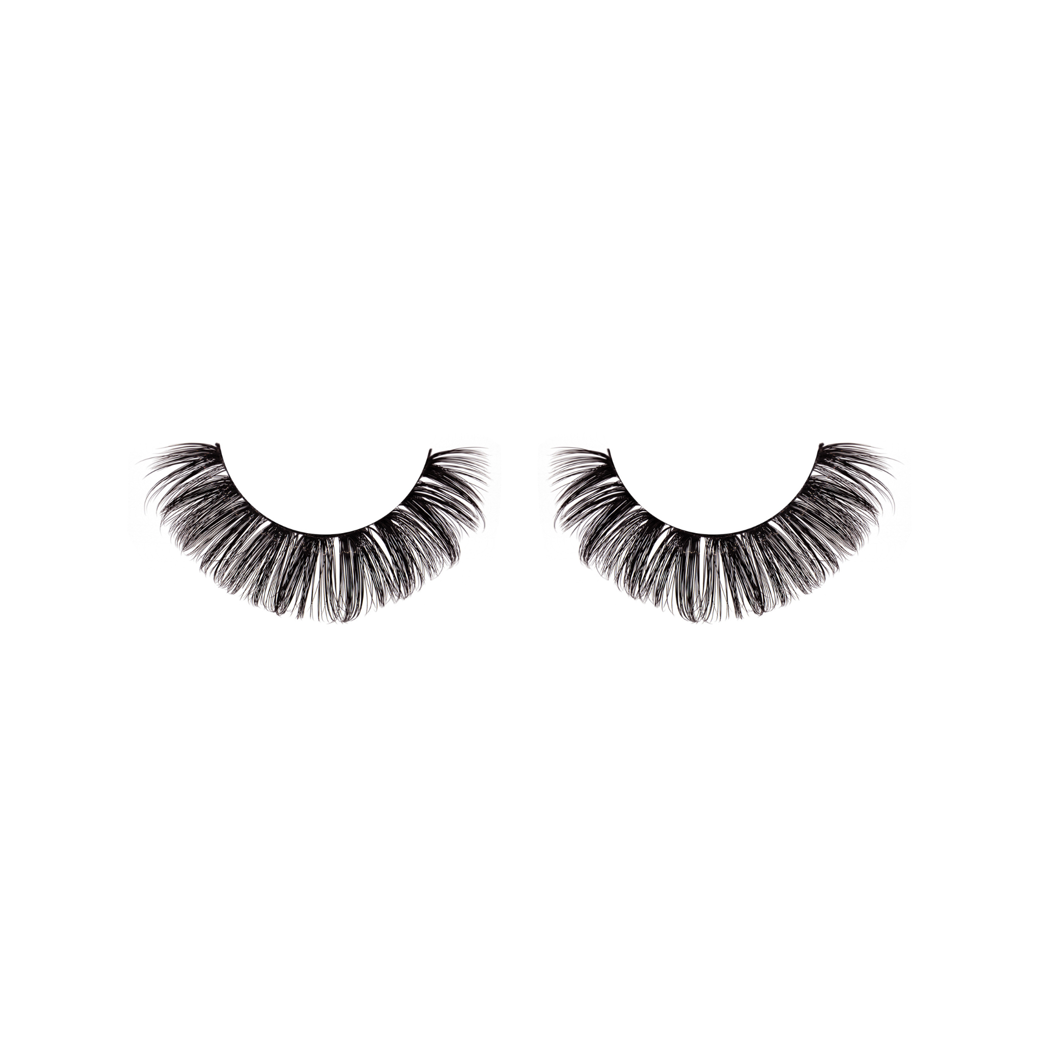 dolly lashes