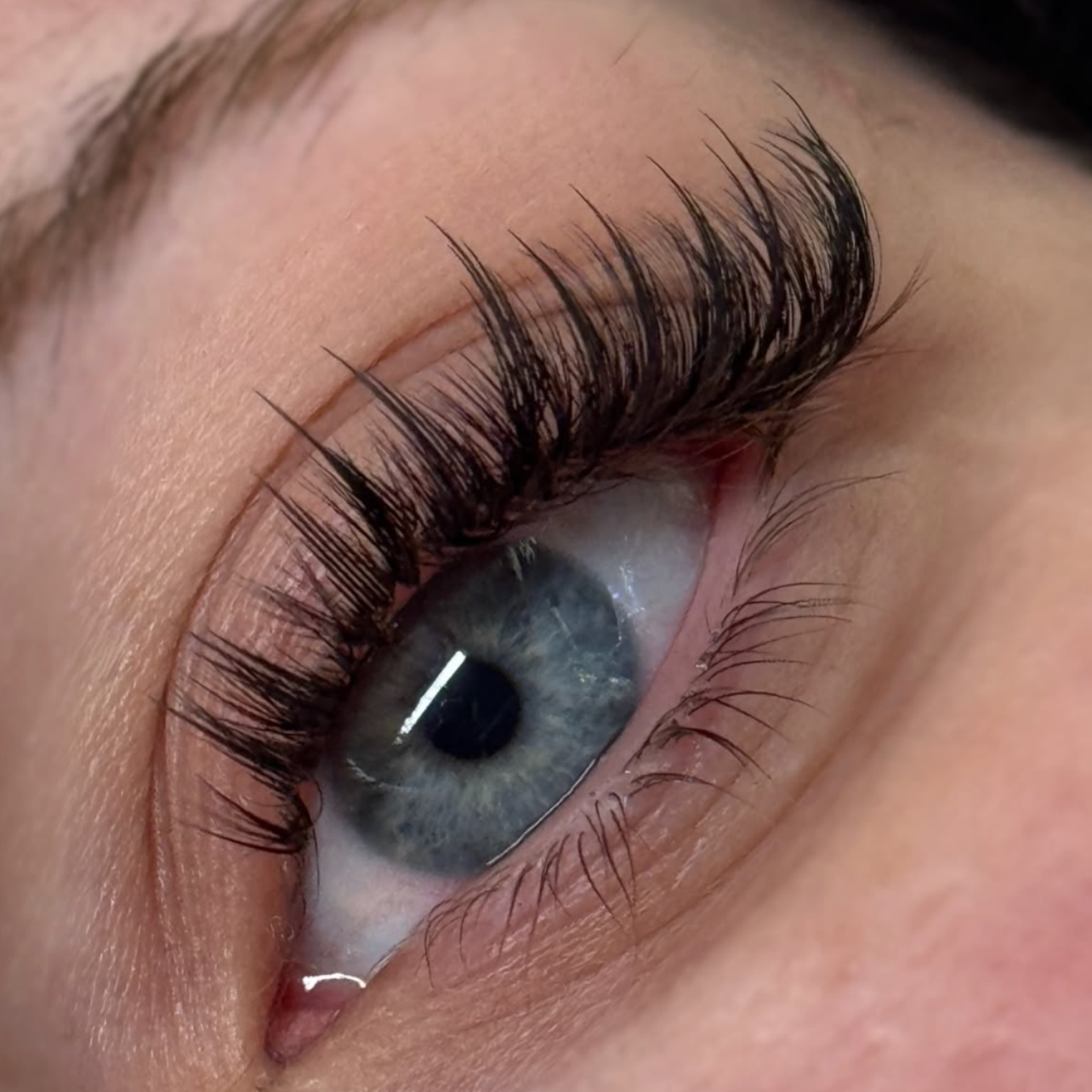 FEATHER/ANIME/MANGA LASHES