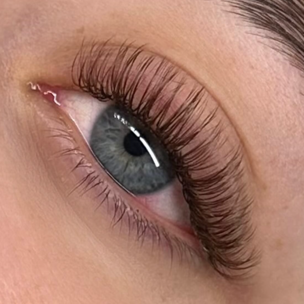 TEDDY CLASSIC BROWN LASHES - MIXED TRAYS