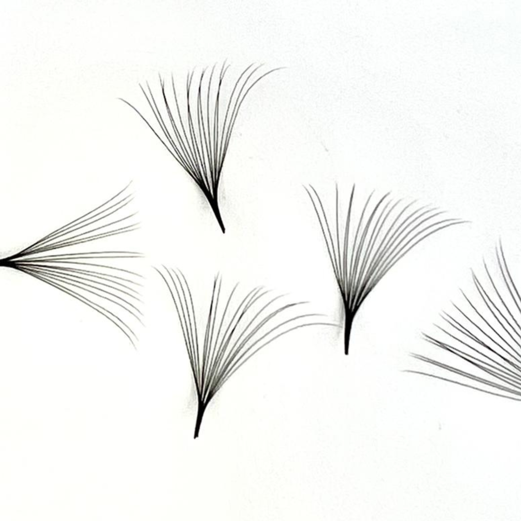 promade lashes online