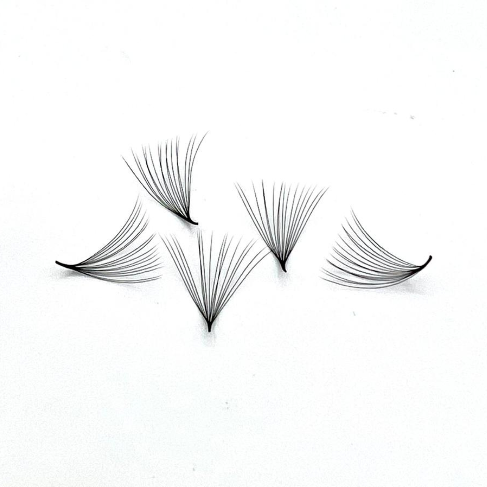 buy promade lashes online