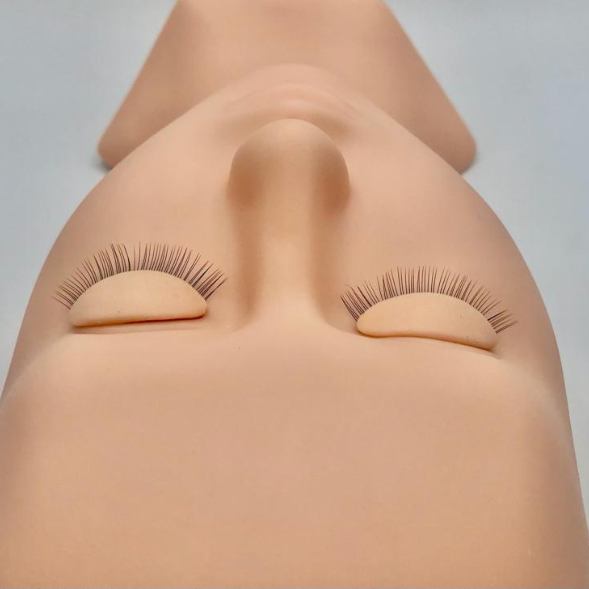 training head for eyelashes