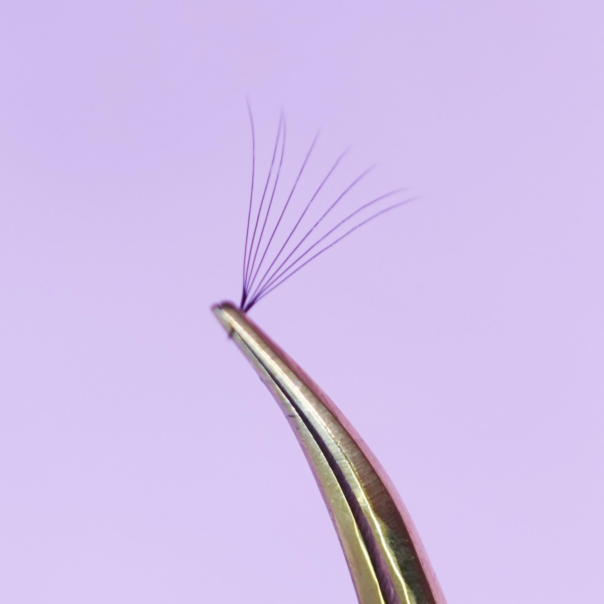 lashes online promade 10d