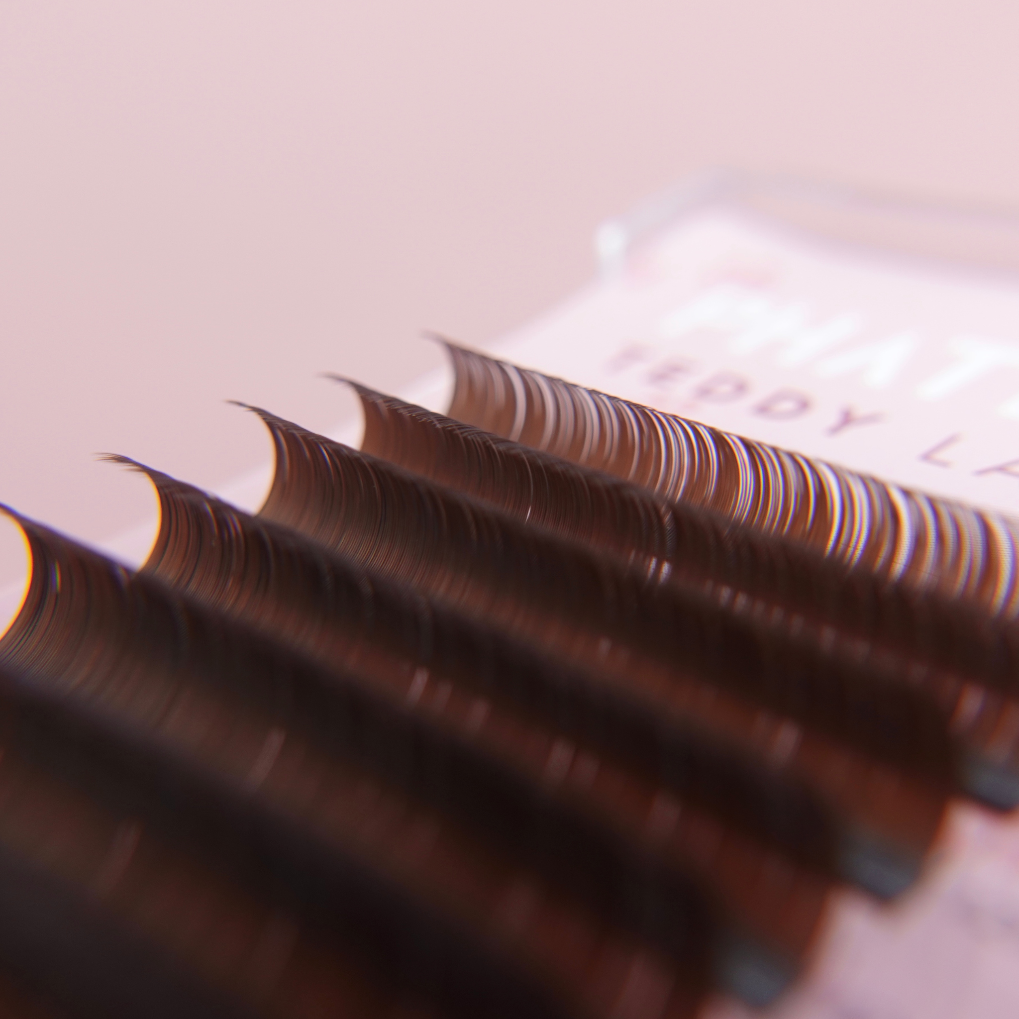 buy brown lashes online
