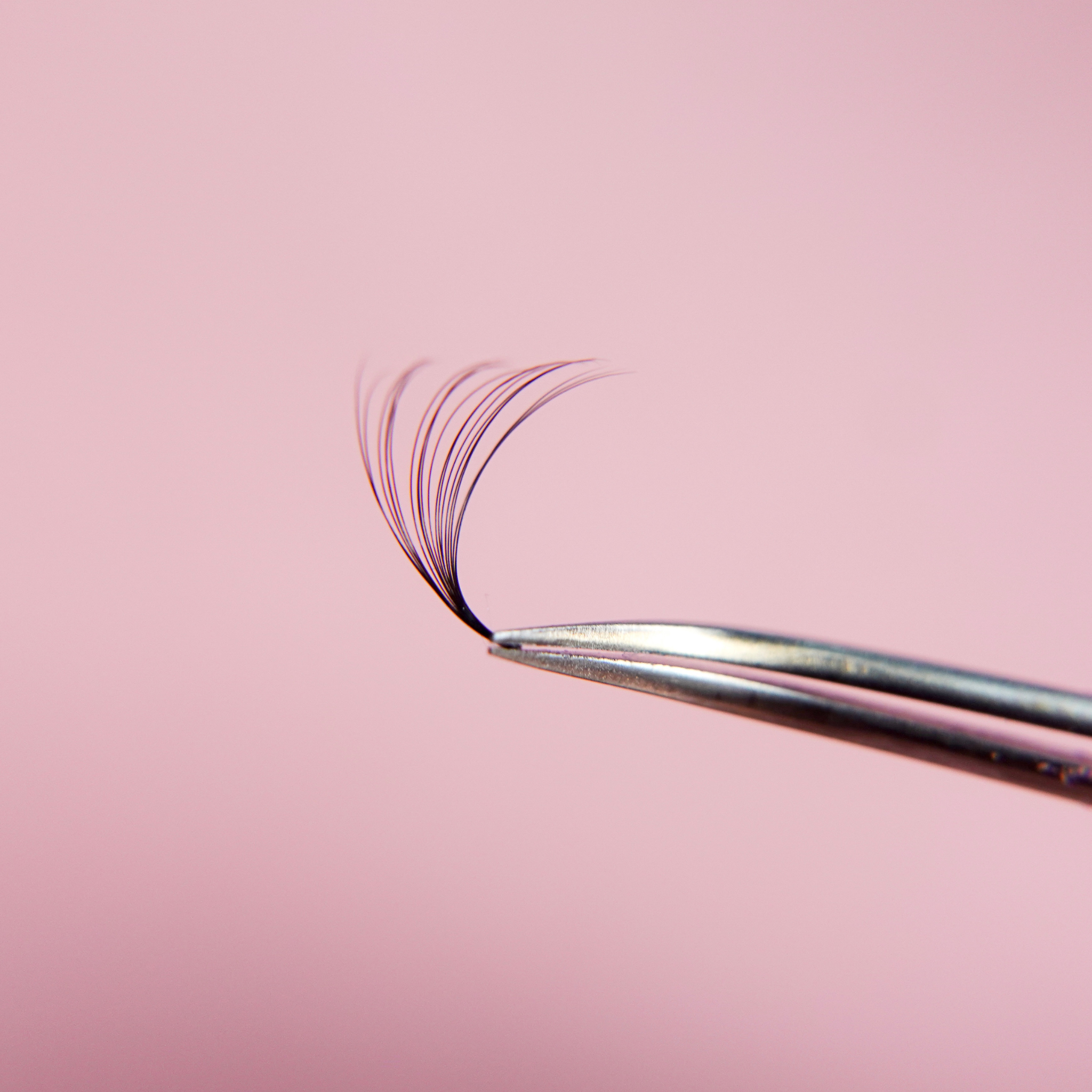 buy promade lashes online