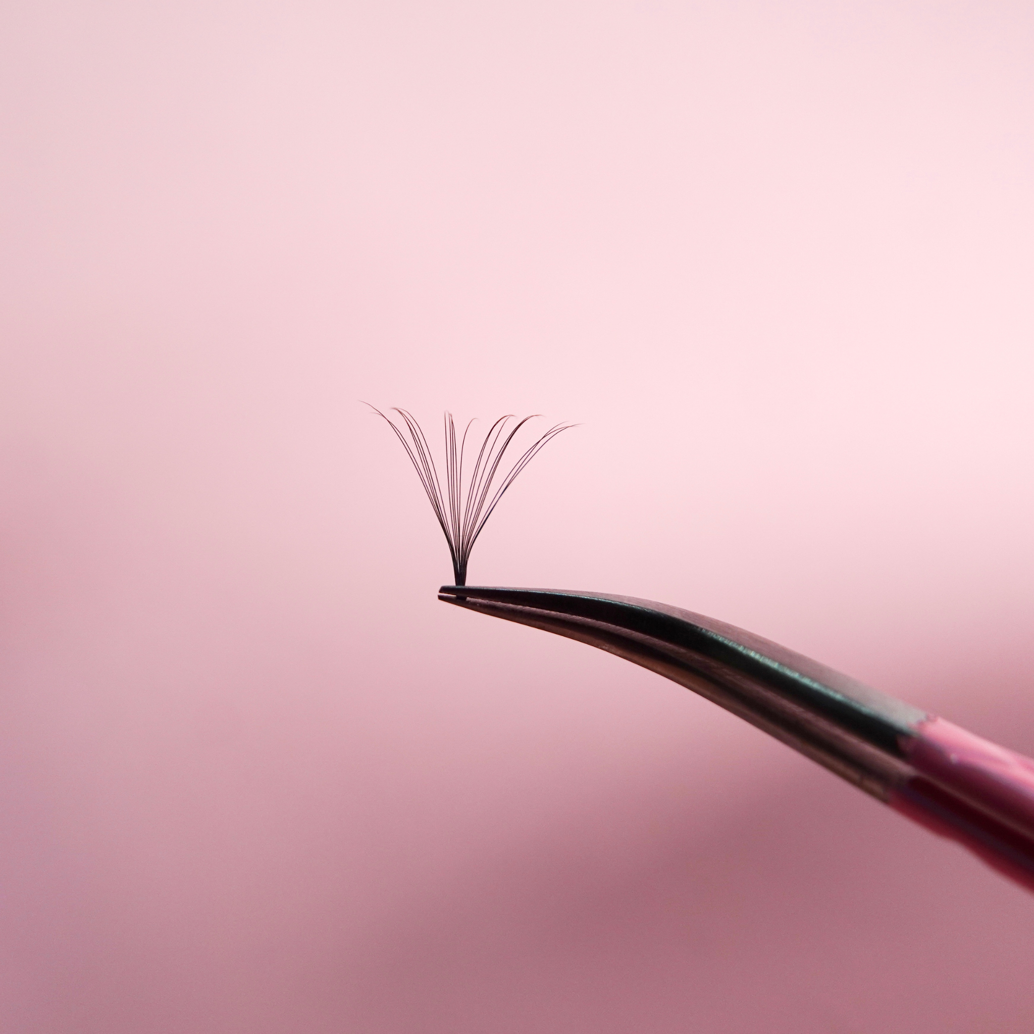 promade lashes online