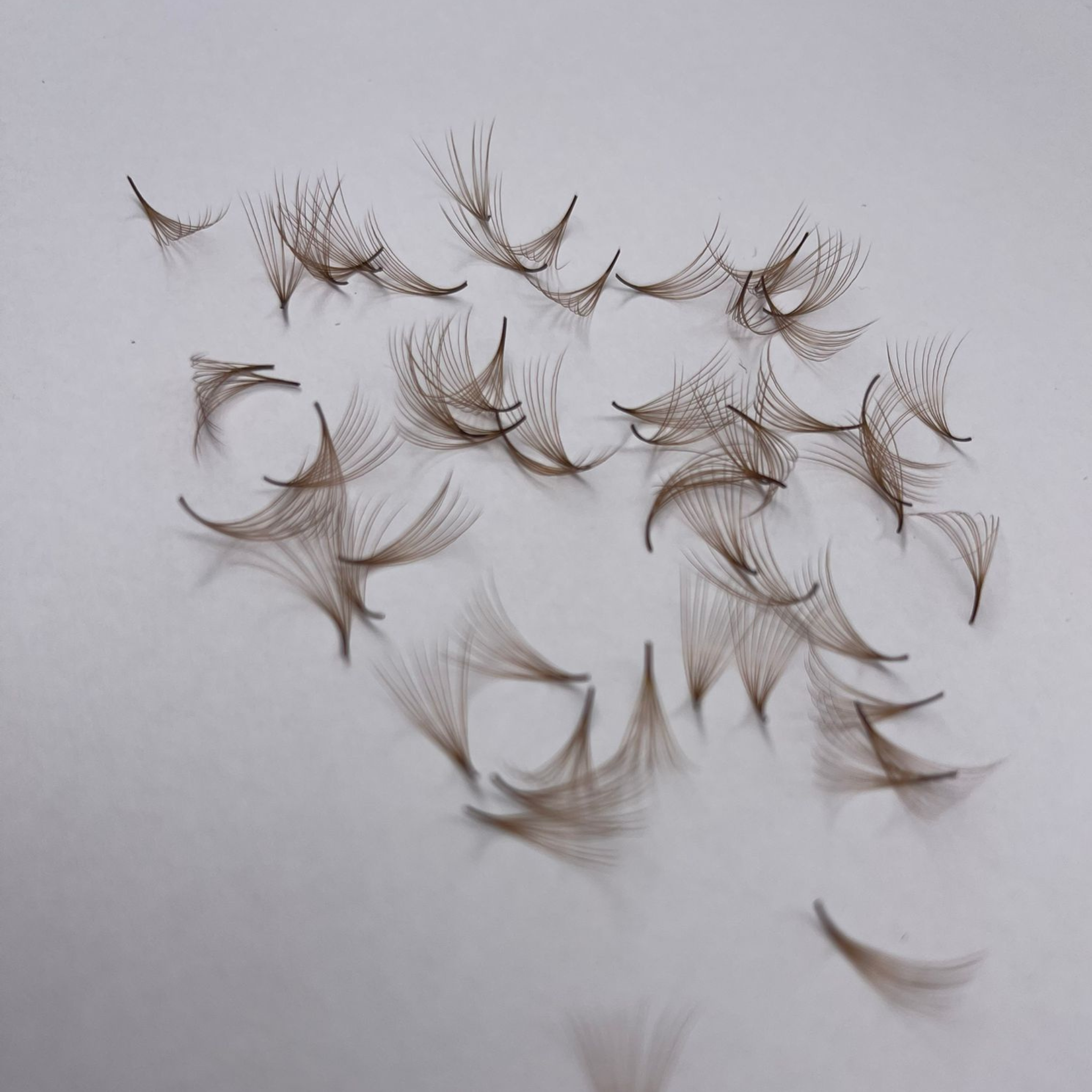 classic brown lashes,
magnetic lashes brown,
brown individual lashes,