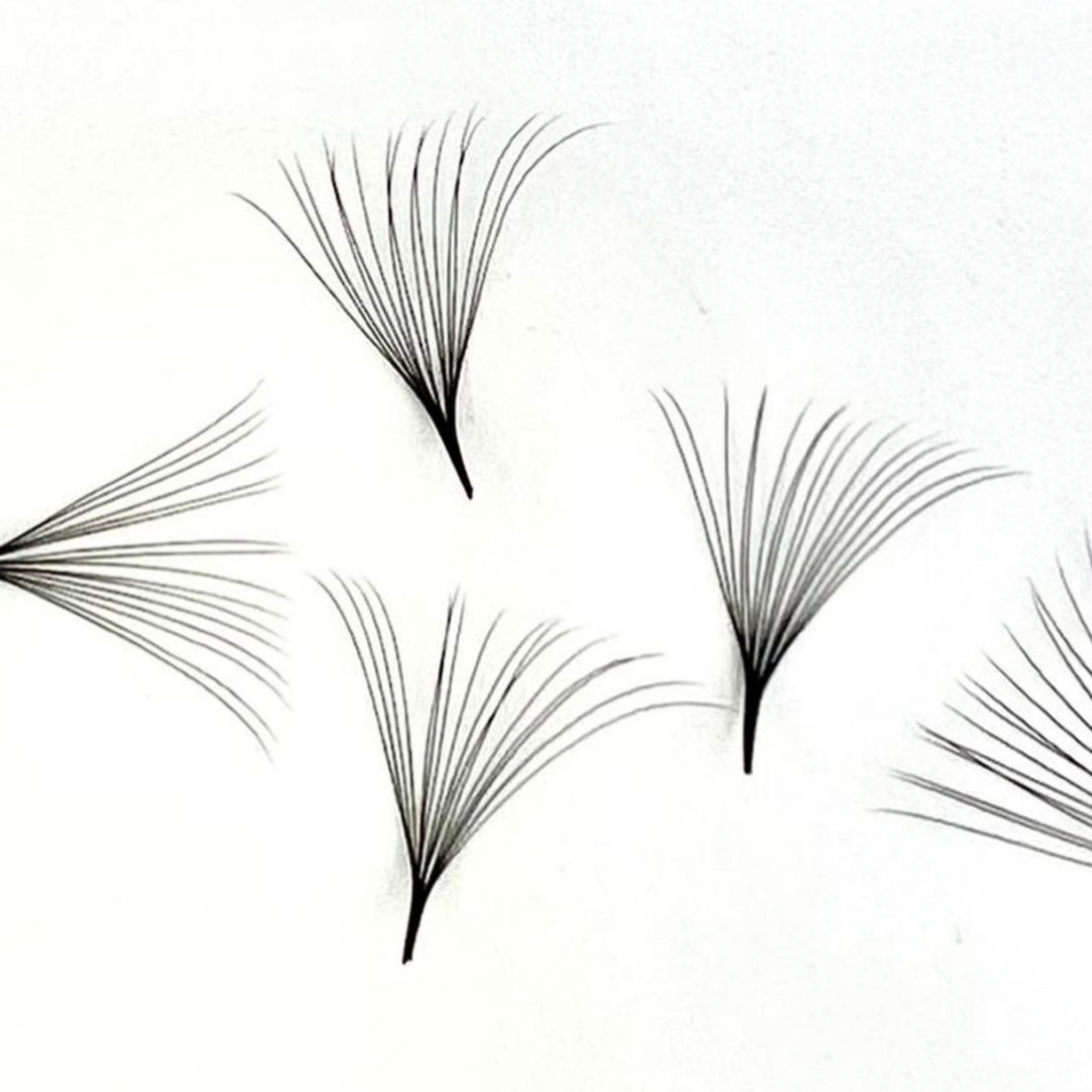 promade 10d lashes