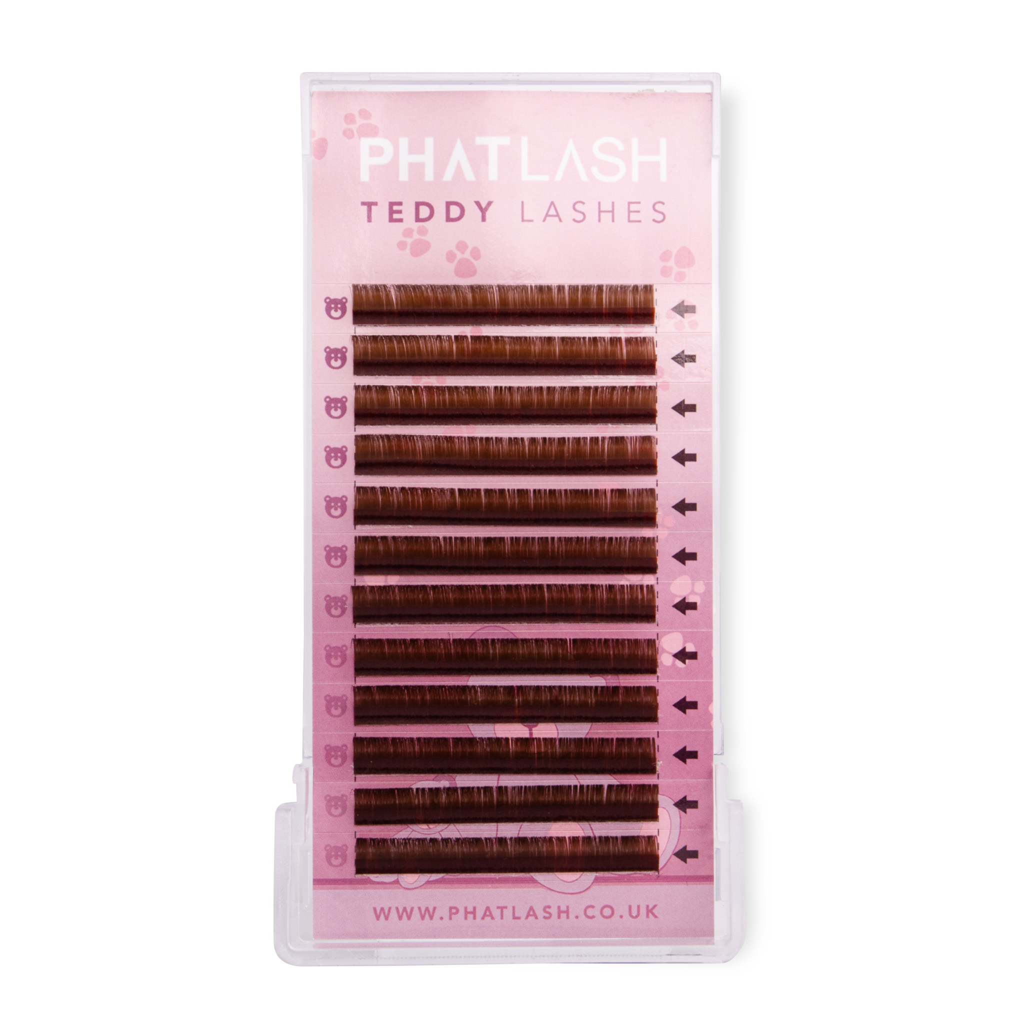 teddy lashes